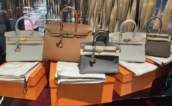 Hermès Bags: A Testament to Unrivaled Luxury and Artisanal Mastery